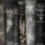 editor in chief: tanishi singh